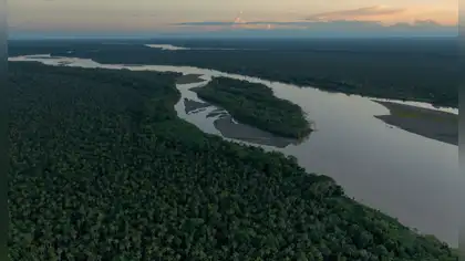 Alemania donará millones de euros para proteger ecosistemas