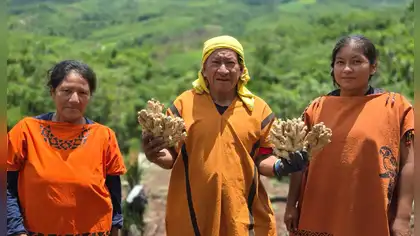 Impacta Verde abre convocatoria para empresas sostenibles que buscan financiamiento y apunta a movilizar S/ 10 millones Impacta Verde abre convocatoria para empresas sostenibles que buscan financiamiento y apunta a movilizar S/ 10 millones