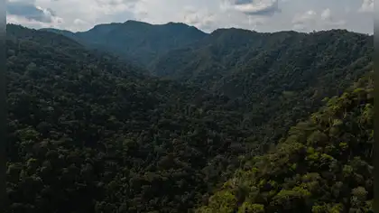Perú establece nueva Área de Conservación Regional en Loreto