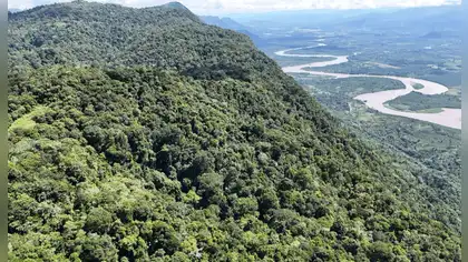 San Martín: Otorgan nueva concesión para proteger más de 2,100 hectáreas de bosque amazónico San Martín: Otorgan nueva concesión para proteger más de 2,100 hectáreas de bosque amazónico