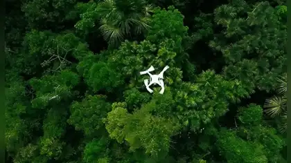 Inteligencia artificial y drones protegerán la Amazonía peruana Inteligencia artificial y drones protegerán la Amazonía peruana