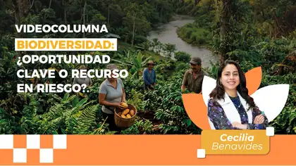 Biodiversidad: ¿oportunidad clave o recurso en riesgo? Biodiversidad: ¿oportunidad clave o recurso en riesgo?