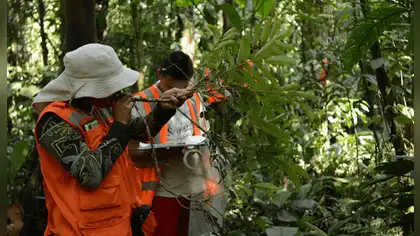 Perú fortalece proyectos de carbono para captar inversión climática Perú fortalece proyectos de carbono para captar inversión climática