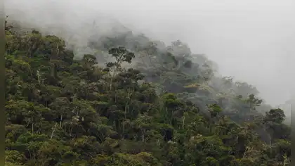 Área de Conservación Regional: Pasco ya tiene la primera Área de Conservación Regional: Pasco ya tiene la primera