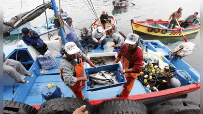 Sanipes fortalece la pesca artesanal en la región Arequipa Sanipes fortalece la pesca artesanal en la región Arequipa