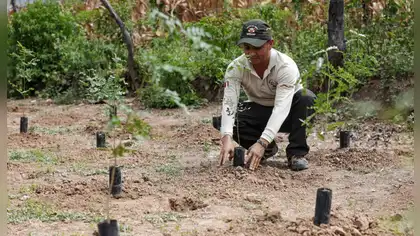 Impulsan reforestación para asegurar agua y restaurar ecosistemas Impulsan reforestación para asegurar agua y restaurar ecosistemas