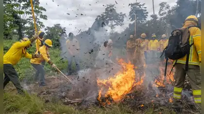 Minam fortalece prevención de incendios forestales en regiones