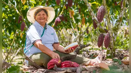 Canadá impulsará el cacao sostenible peruano con una inversión de 15 millones de dólares Canadá impulsará el cacao sostenible peruano con una inversión de 15 millones de dólares