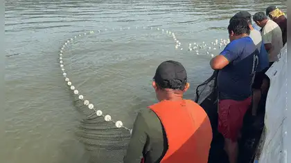 Lago Sauce: IMARPE monitorea tilapia y recursos pesqueros Lago Sauce: IMARPE monitorea tilapia y recursos pesqueros