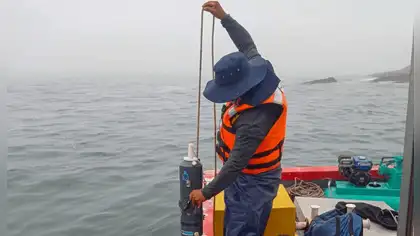 El Niño Costero: IMARPE evalúa impacto en anchoveta