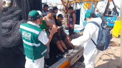 El Niño Costero: buscan proteger fauna marina en Perú