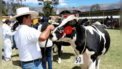 Fongal 2026 impulsa la ganadería y el desarrollo de Cajamarca Fongal 2026 impulsa la ganadería y el desarrollo de Cajamarca
