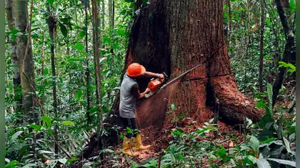 Protección de la Amazonía: líderes religiosos exigen acción