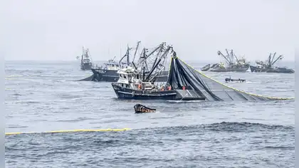 Perú pierde más de S/ 1200 millones al año por pesca ilegal mientras herramientas satelitales clave siguen fuera del alcance de fiscalías y regiones