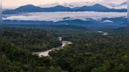 Bosques del Araza: Cusco avanza en su protección regional Bosques del Araza: Cusco avanza en su protección regional