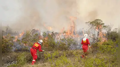 Incendios forestales y estrés hídrico amenazan San Martín Incendios forestales y estrés hídrico amenazan San Martín
