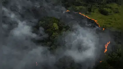 Piden evitar quemas ante posibles periodos secos en la Amazonía Piden evitar quemas ante posibles periodos secos en la Amazonía