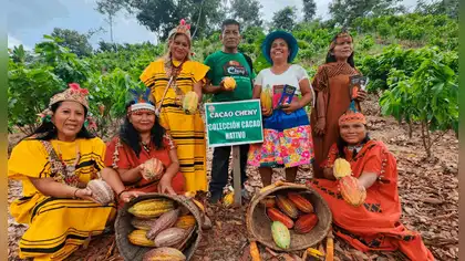 Asháninkas de Junín innovan con cacao, pijuayo y miel Asháninkas de Junín innovan con cacao, pijuayo y miel
