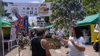 Castaña amazónica conserva bosques en Madre de Dios