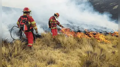 Incendios forestales: El Niño ampliaría la temporada en 2027