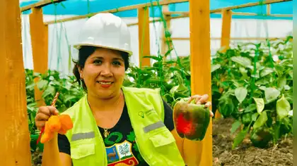 Negocios verdes: MINAM actualiza lineamientos clave Negocios verdes: MINAM actualiza lineamientos clave