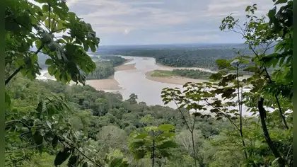Masivo rechazo a proyecto de ley que permitiría extracción de hidrocarburos en Bahuaja Sonene y amenazaría a pueblos aislados