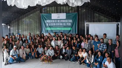 Oxapampa se consolida como epicentro de la meliponicultura en el Perú rumbo al III Congreso Nacional 2027