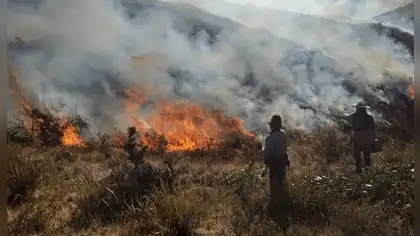 Quemas agrícolas elevan riesgo de incendios forestales en Perú