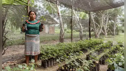 Minam reconoce a comunidades por proteger ecosistemas Minam reconoce a comunidades por proteger ecosistemas