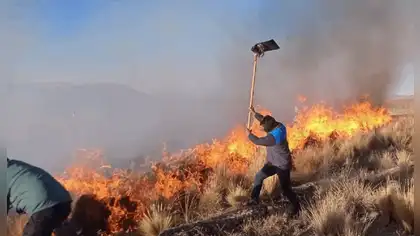 Espinar: incendios forestales arrasan pastizales y matan animales