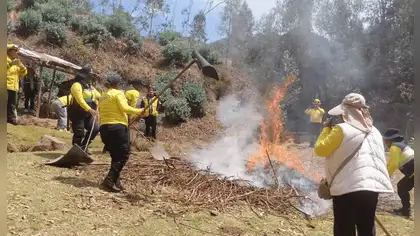 Cusco: Serfor capacitará a más de 400 brigadistas contra incendios Cusco: Serfor capacitará a más de 400 brigadistas contra incendios