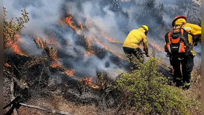 Cusco: tres incendios forestales devastan Calca y La Convención Cusco: tres incendios forestales devastan Calca y La Convención