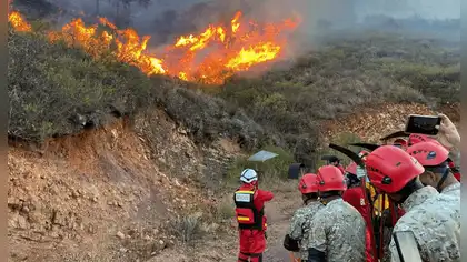 Minam extinguió 56 incendios forestales en áreas protegidas en 2026 Minam extinguió 56 incendios forestales en áreas protegidas en 2026