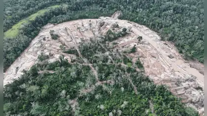 Panguana: La minería ilegal frena casi seis décadas de ciencia y amenaza de muerte a defensores ambientales Panguana: La minería ilegal frena casi seis décadas de ciencia y amenaza de muerte a defensores ambientales