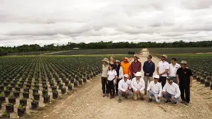 Cacao y palma en Pucallpa: cómo Paisaje Clima Perú contribuye a una producción más sostenible