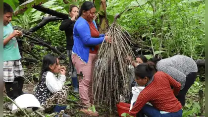 Alto Purús: comunidades indígenas impulsan conservación y desarrollo Alto Purús: comunidades indígenas impulsan conservación y desarrollo