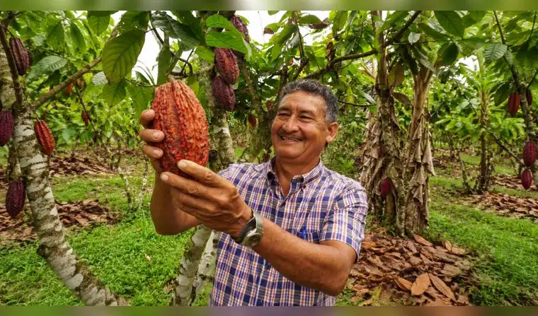 Iniciativas como Paisaje Clima Perú buscan una agricultura más sostenible. Foto: difusión.  